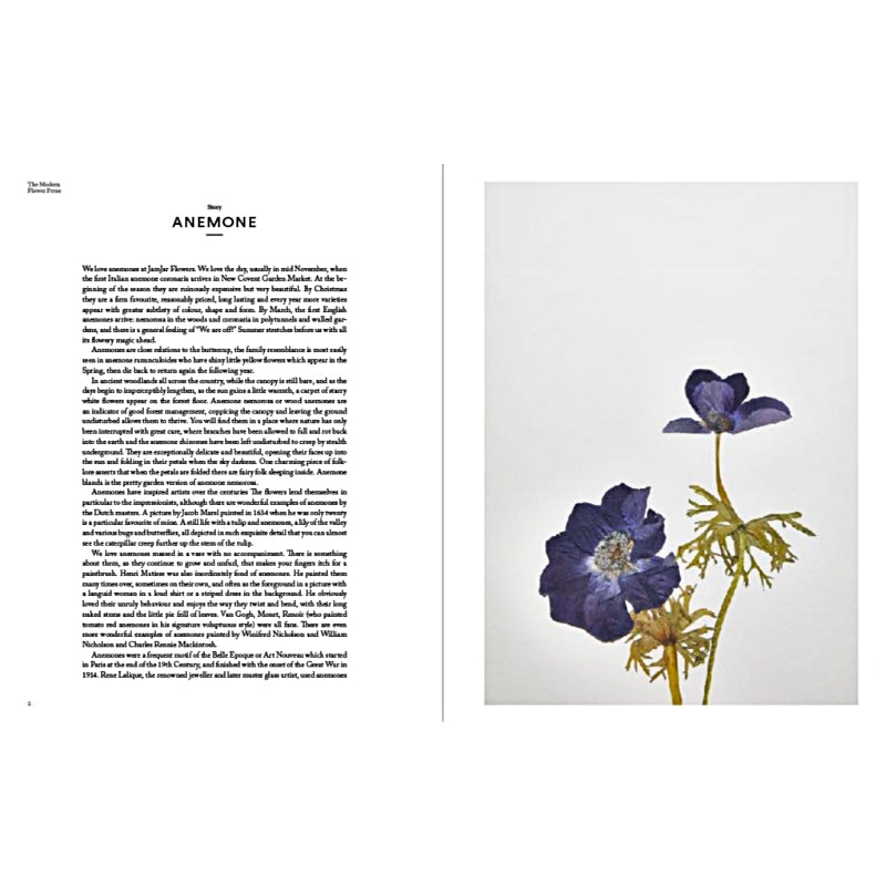 The Modern Flower Press: Capturing the Beauty of Nature — By Melissa Richardson and Amy Fielding