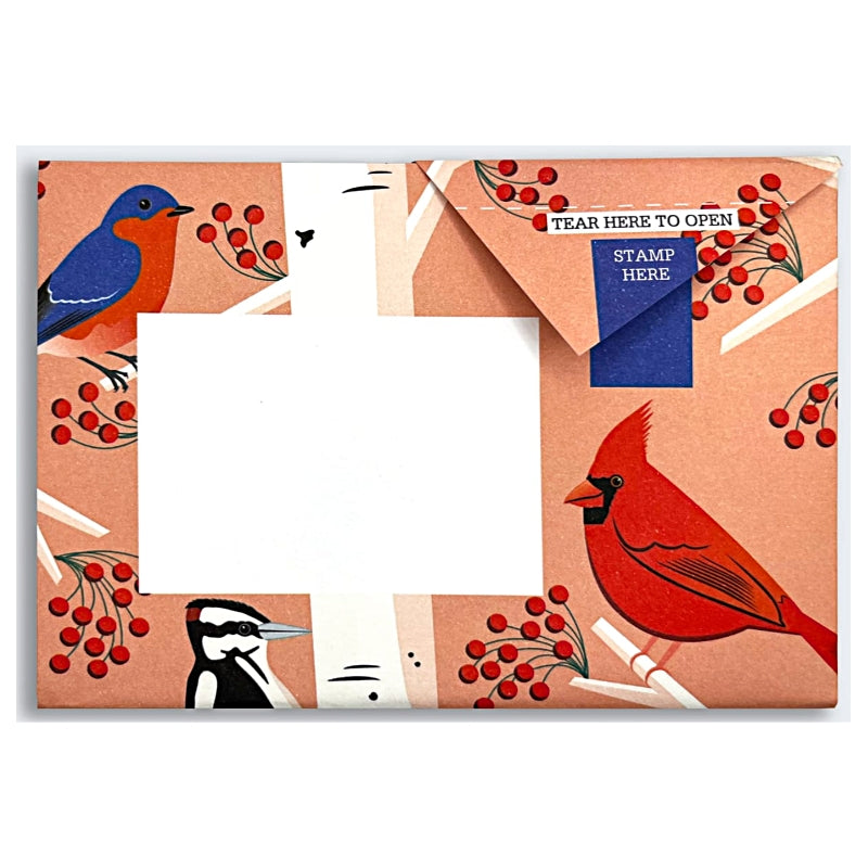 Carnival of Color Pigeons Folded Origami Letter Set