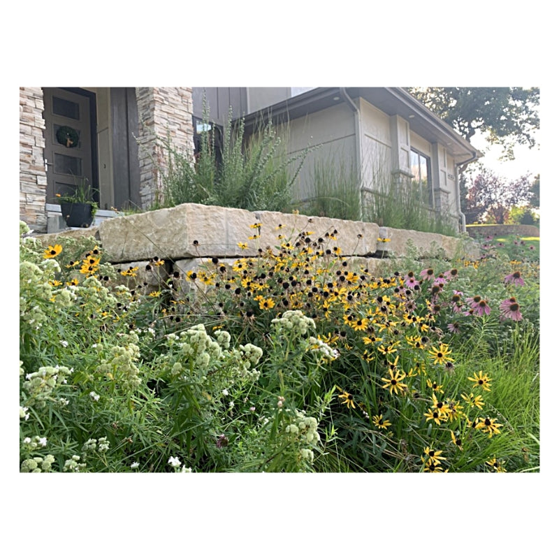 Prairie Up: An Introduction to Natural Garden Design 