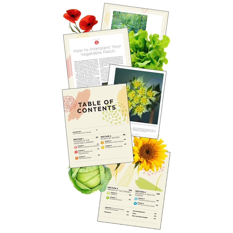 In the Vegetable Garden: My Nature Sticker Activity Book - Science